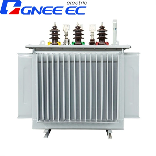 Oil-Immersed Amorphous Alloy Transformer